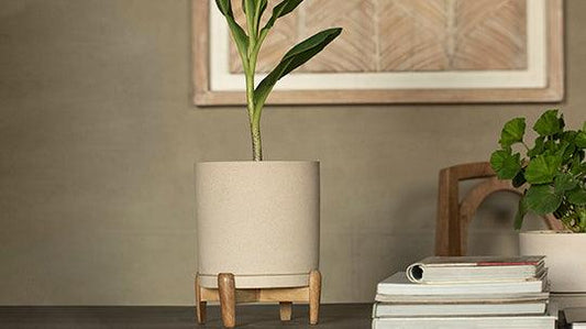Earth Day: 5 eco-friendly choices you should make today