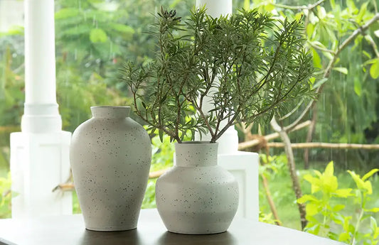 Breathe Life into Your Home with a Touch of Green