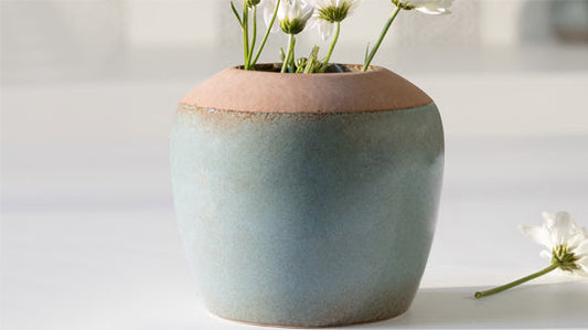 Know how to grow and care for succulent plants indoors