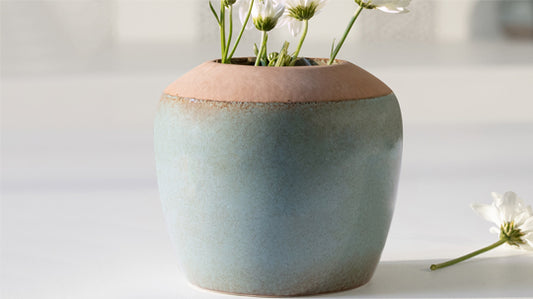Know how to grow and care for succulent plants indoors