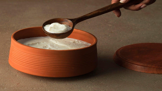 How terracotta pots became popular