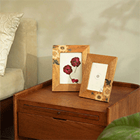 Photo Frame - ellementry
