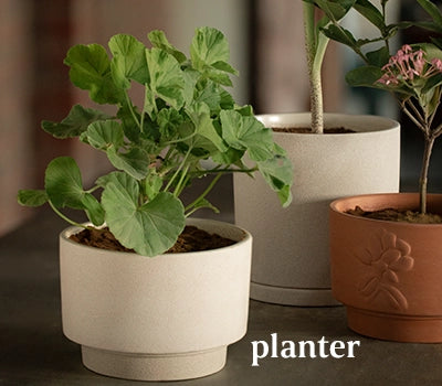 Planter Pot for Home Decor