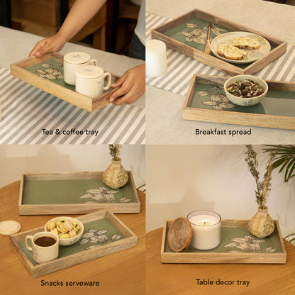Noor tray set of 2
