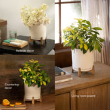 Ljo Ceramic Planter with Stand