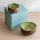 Foliage Coconut Bowl Gift Set
