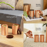Neer Copper Tumbler with Lid - Set of 2