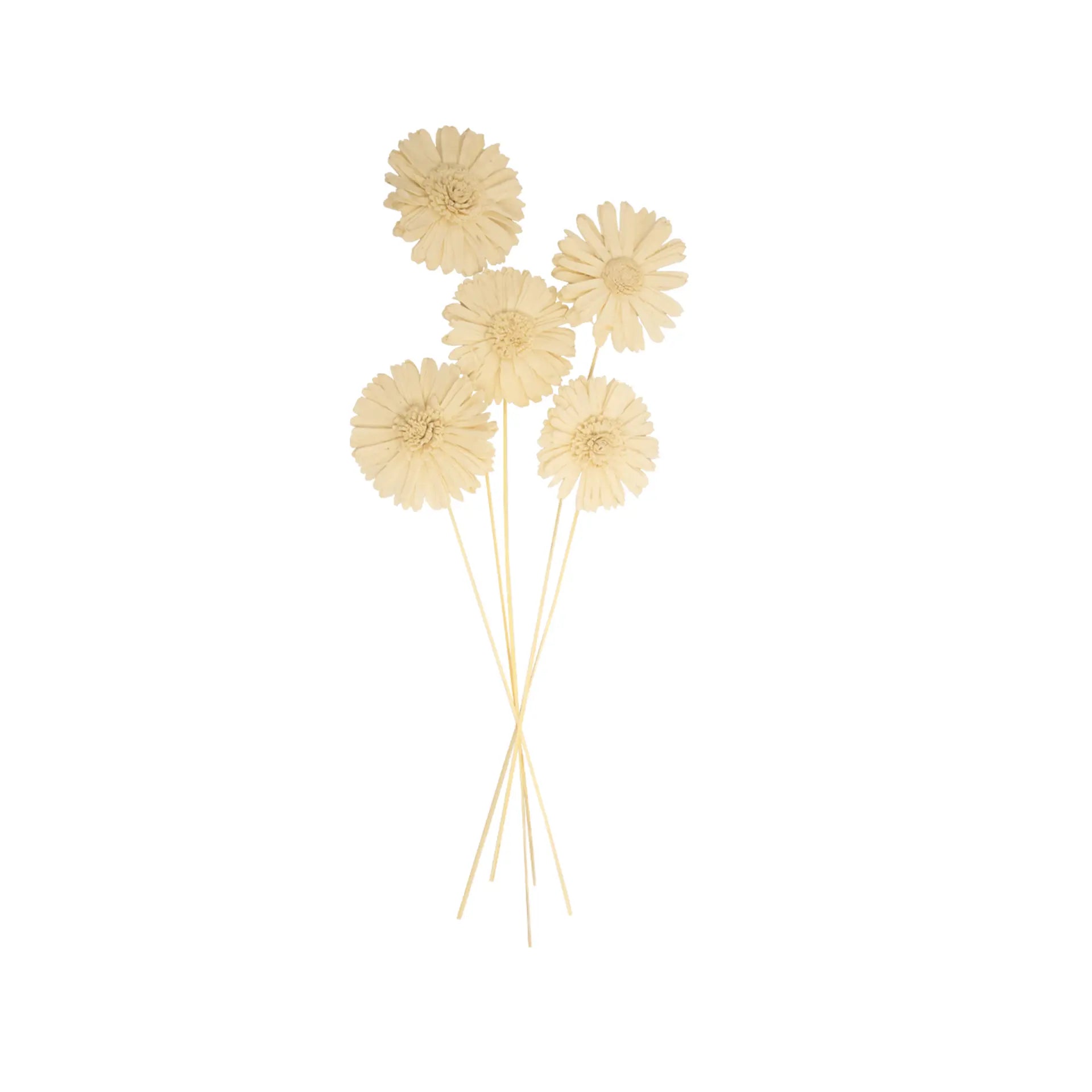 Sunflower Hour Bunch - Set of 5