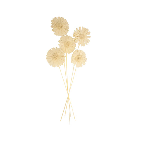 Sunflower Hour Bunch - Set of 5