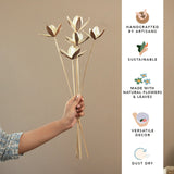 lady lily bunch - set of 5