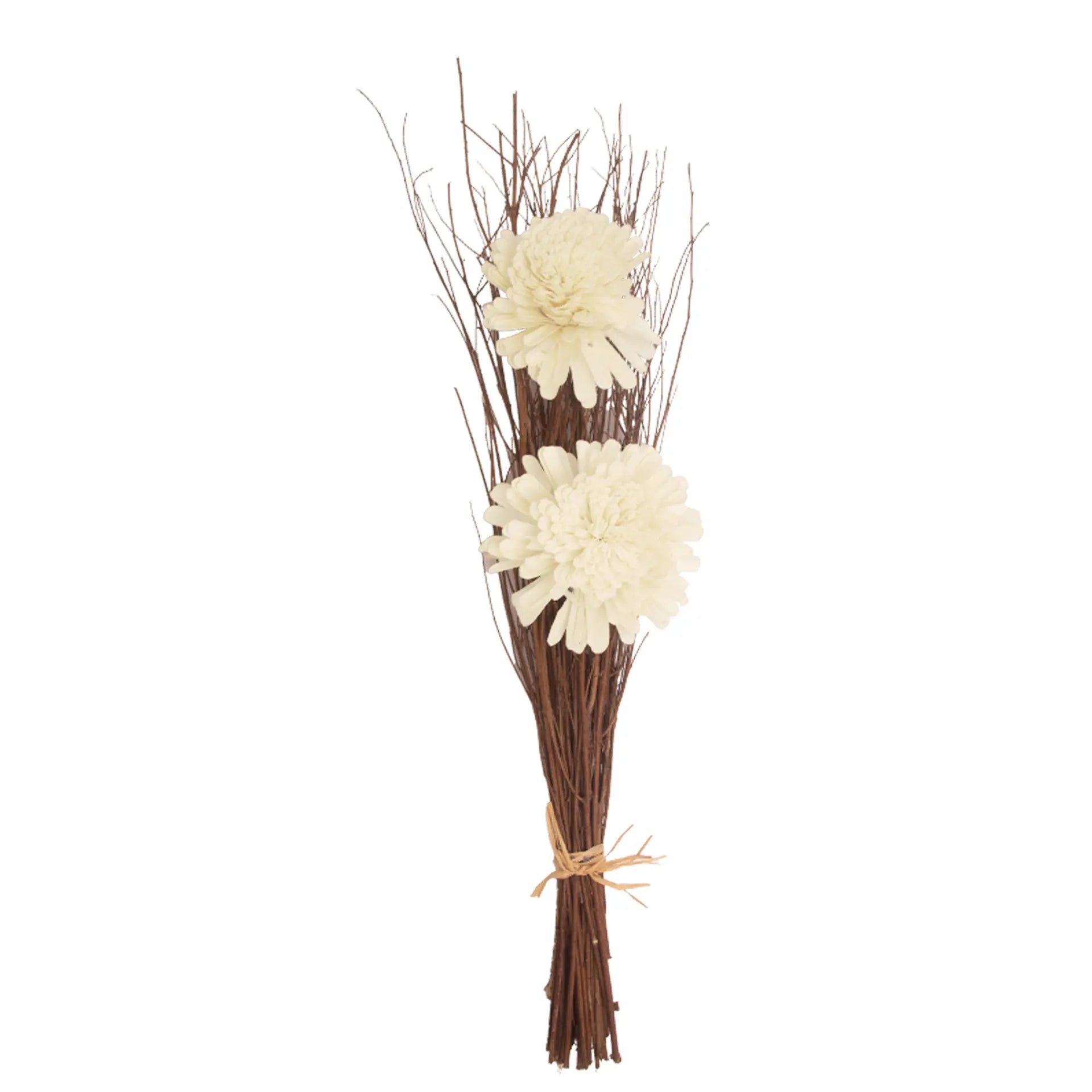 Zinia Brown Lady Bunch