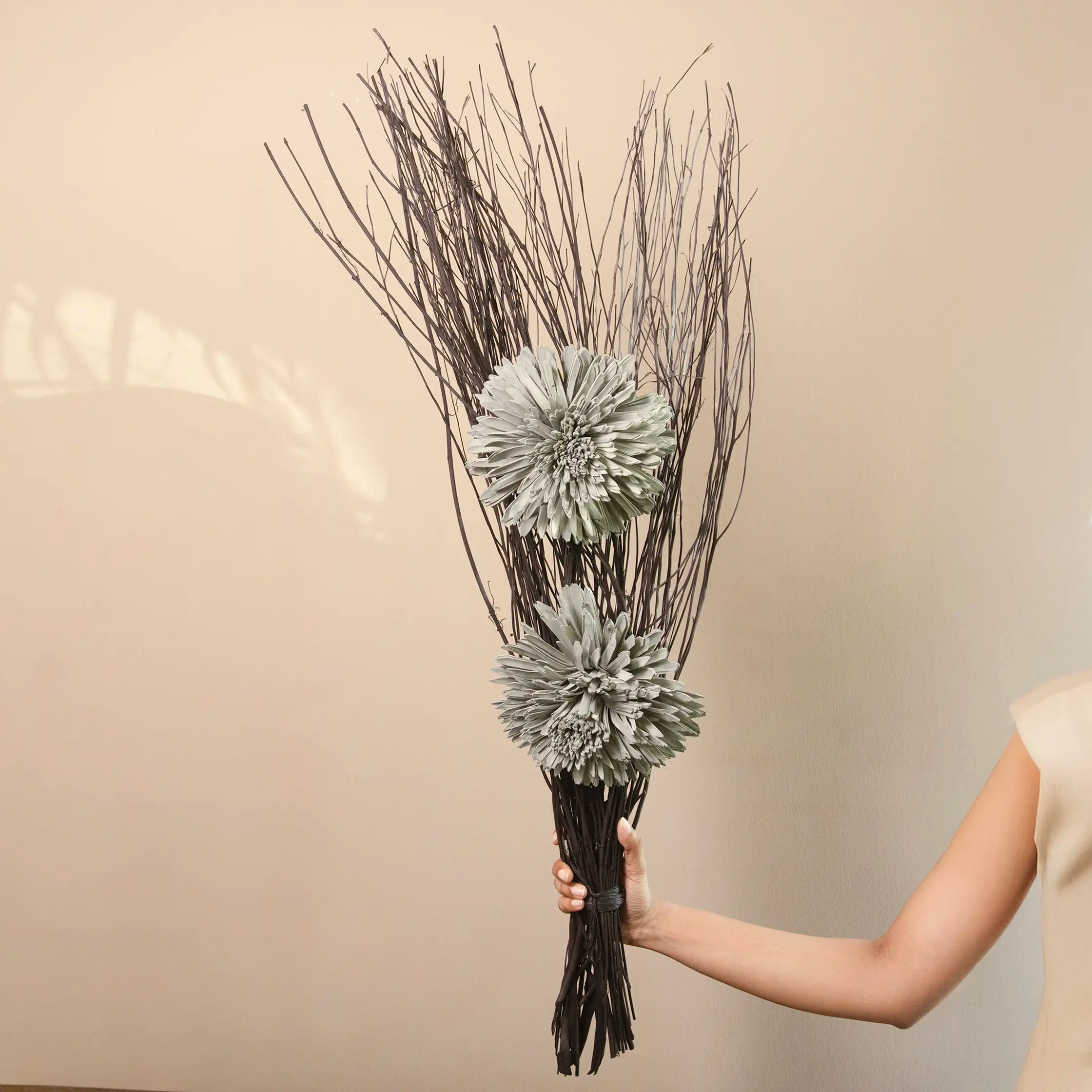 Zinia Black Lady Bunch