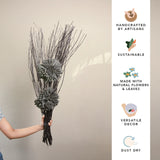 zinia black lady bunch