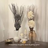 zinia black lady bunch