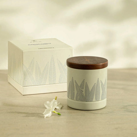 Mimosa Metal Jar Wax Candle (1 Wick)