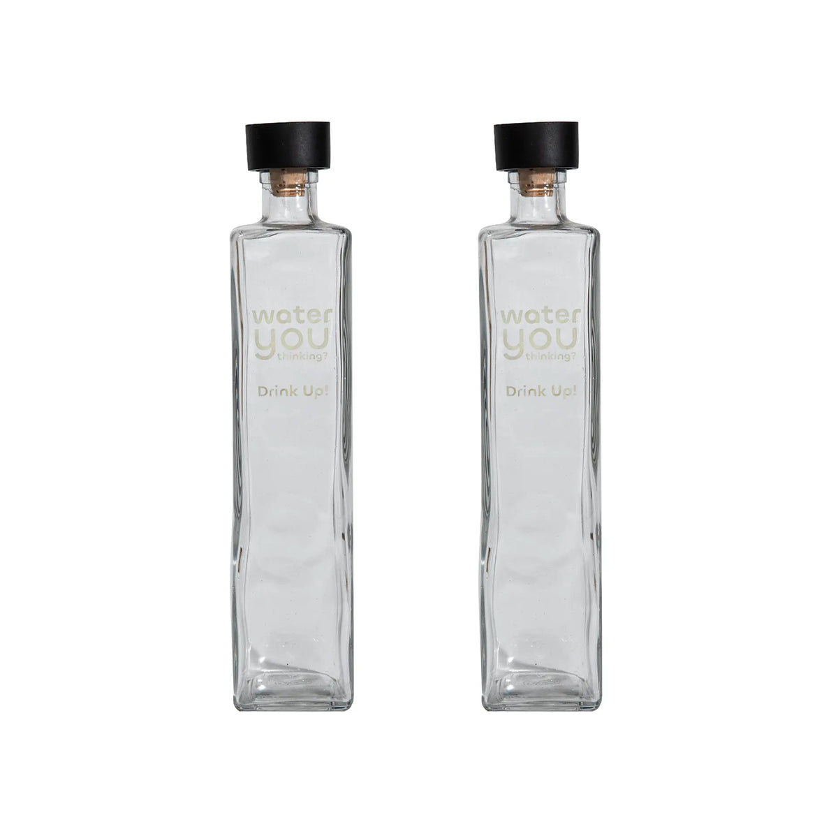 Drink Up glass water bottle with wooden stopper - set of 2