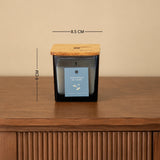 Ocean Breeze Jar Candle- French Lavender Set of 2