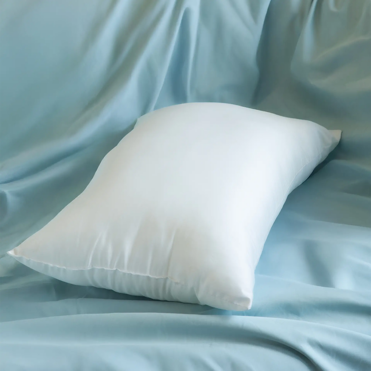 Cushion filler 36x50