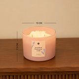 Peach Blush Daydream Jar Candle - French Lavender Set of 2