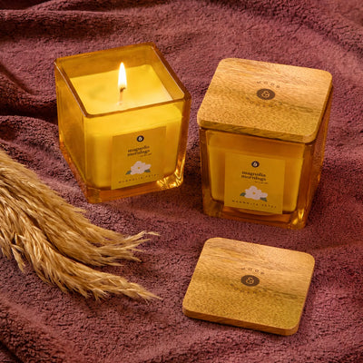 Magnolia Mornings Jar Candle - Magnolia Petal Set of 2