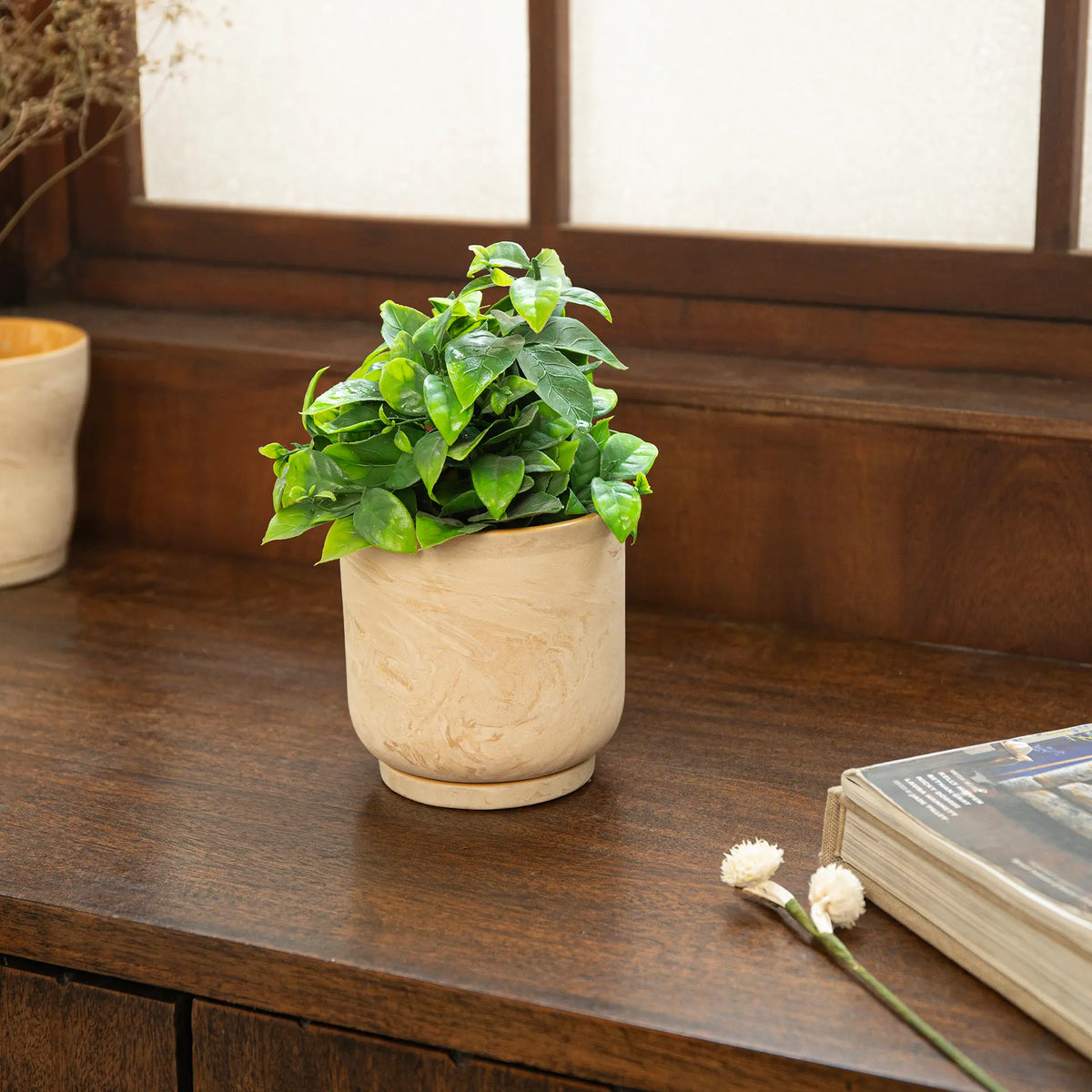 Amber Love Ceremic Planter - straight