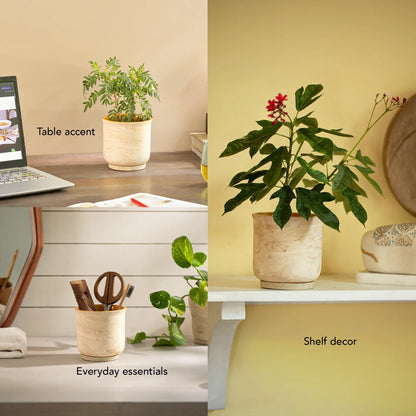Amber Love Ceramic Planter - straight