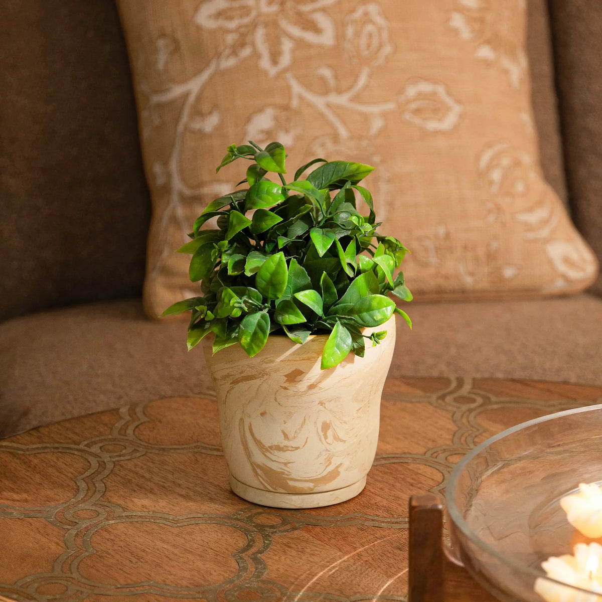 Amber Love Ceramic Planter - curved