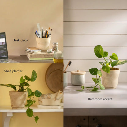 Amber Love Ceramic Planter - curved