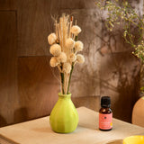 breathe & bloom vase & diffuser set - wild rose & yuzu
