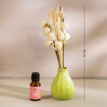 breathe & bloom vase and diffuser set - wild rose & yuzu