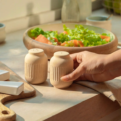 Classic Beige Ceramic Salt & Pepper Holder
