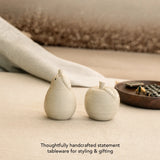 Apple & Pear Salt and Pepper Shaker