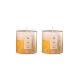 Summer Dreaming Botanical Candle - 4 Set of 2