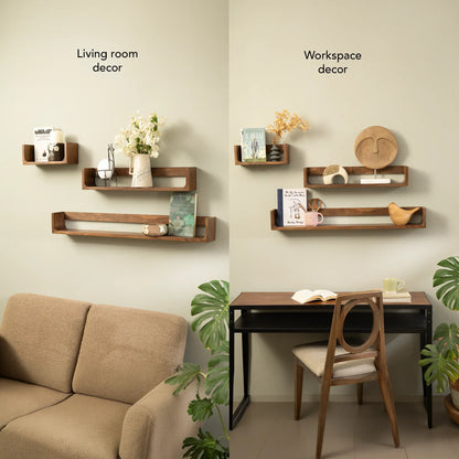 Still Life Shelf Set of 3