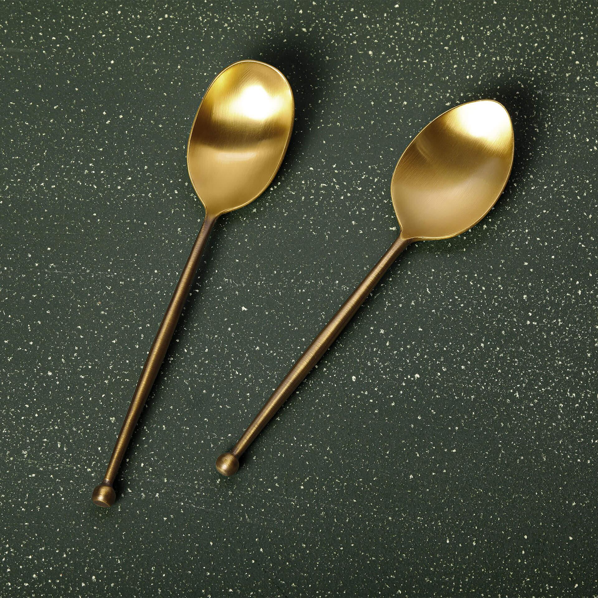 Sophiya Serving Spoon Set of 2