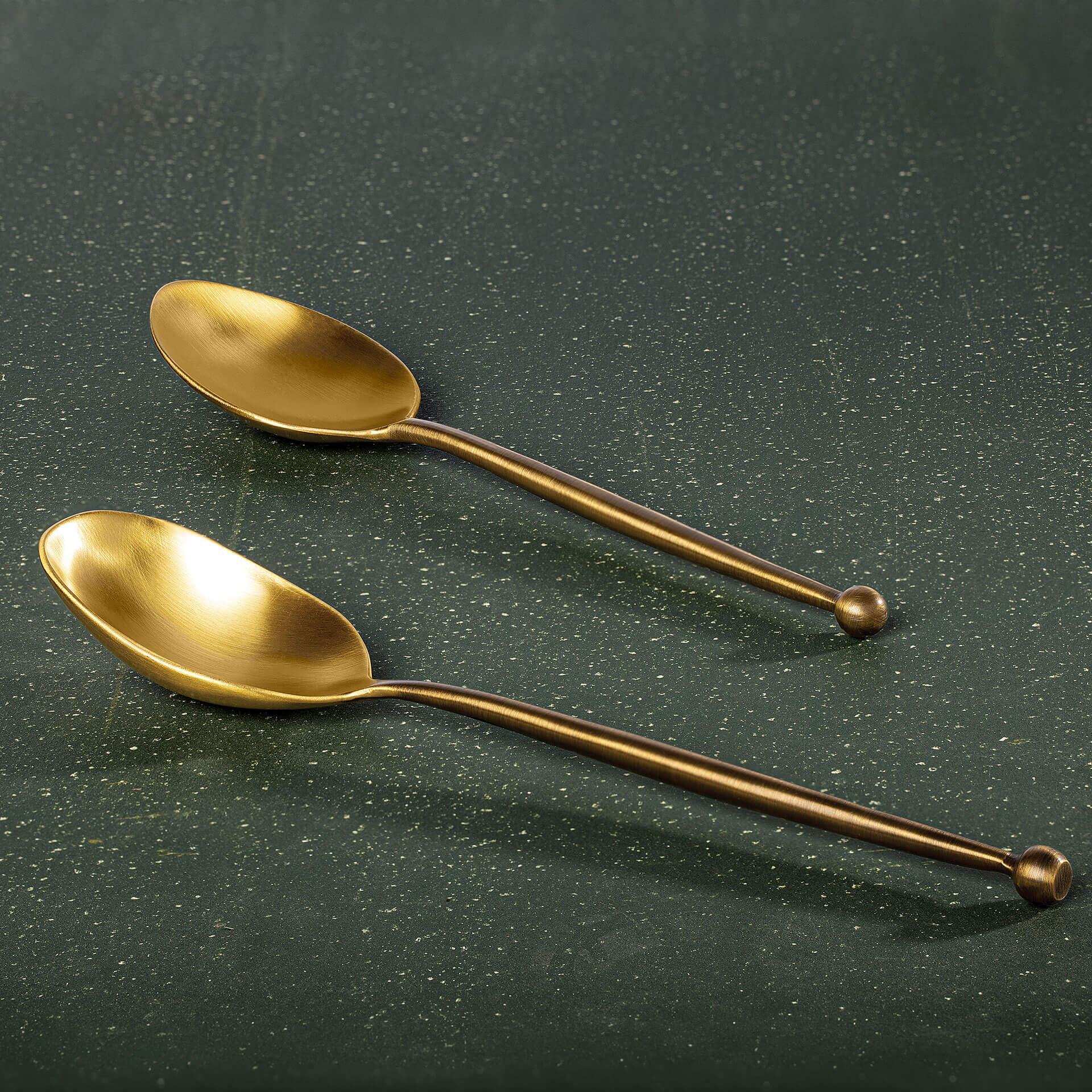 Sophiya Serving Spoon Set of 2