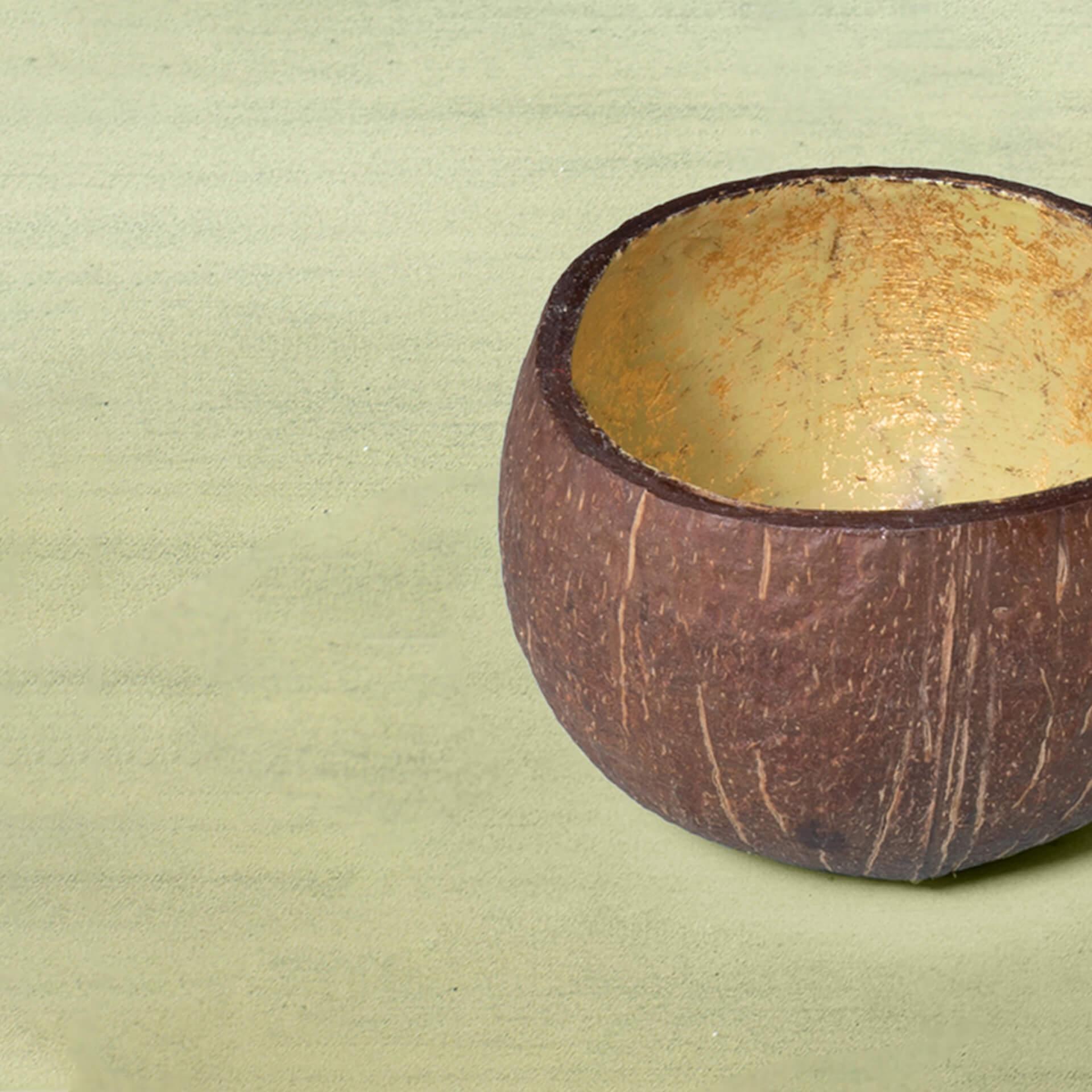 Green Coconut Nut Bowl
