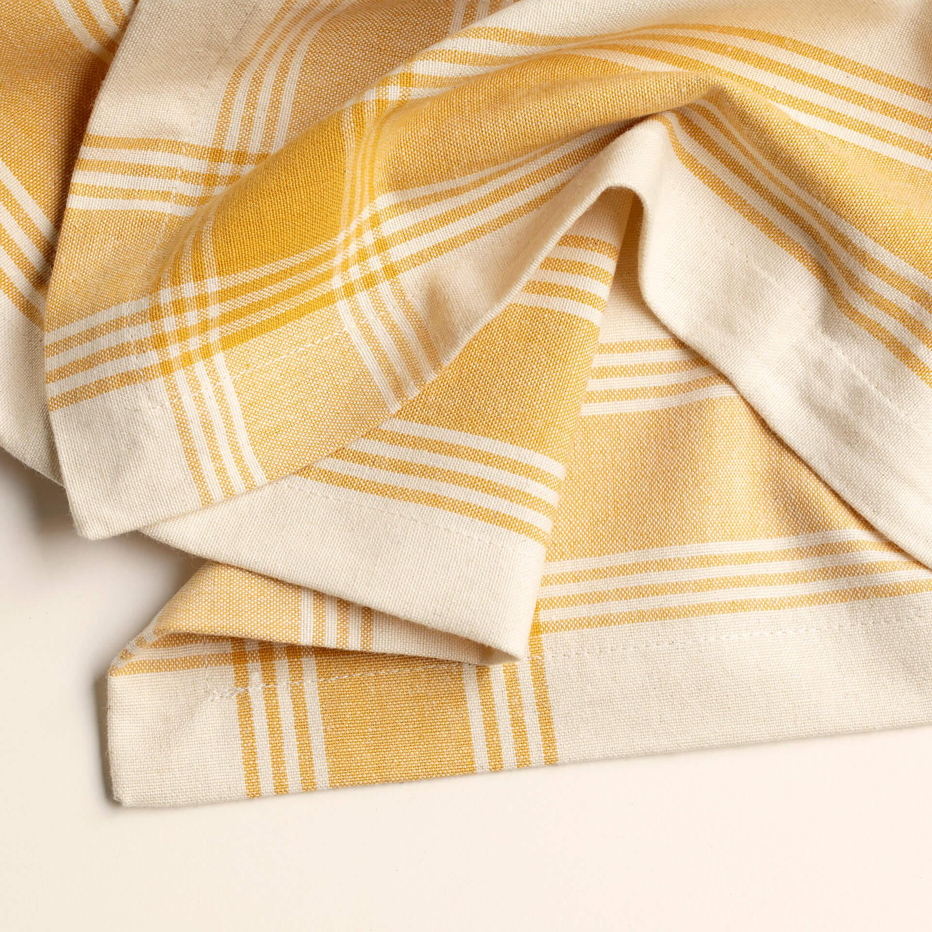 Mango Mojito Border 100% Cotton Napkin Set of 6