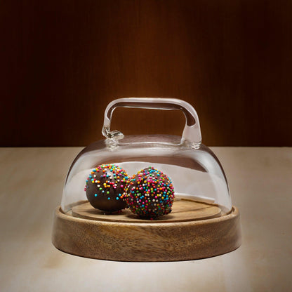 dome glass cloche with wooden base- small - ellementry