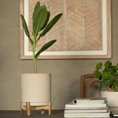 Ljo Ceramic Planter with Stand - ellementry