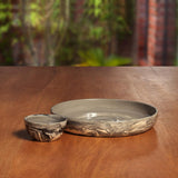 carbon ceramic chip-n-dip - ellementry