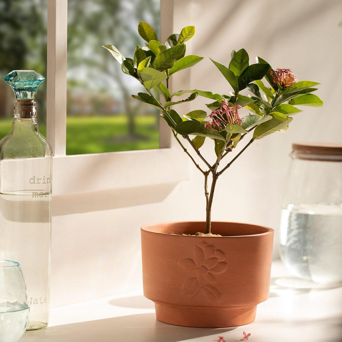 Teravak Embossed Planter (Short) - ellementry