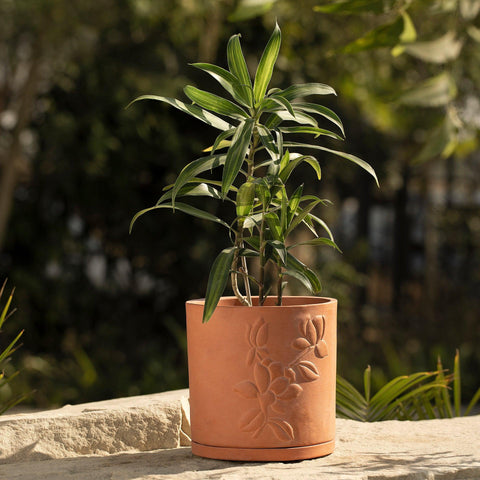 Teravak Embossed Planter (Tall) - ellementry