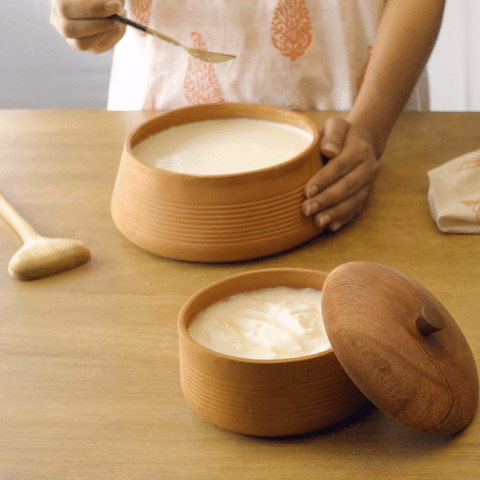 terracotta curd setter with wooden lid- large - ellementry
