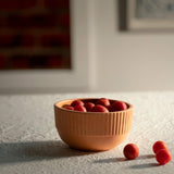 Sienna Terracotta Bowl - ellementry